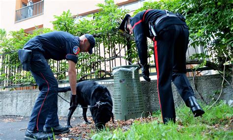 Bergamo E Seriate I Carabinieri Passano Al Setaccio Le Scuole