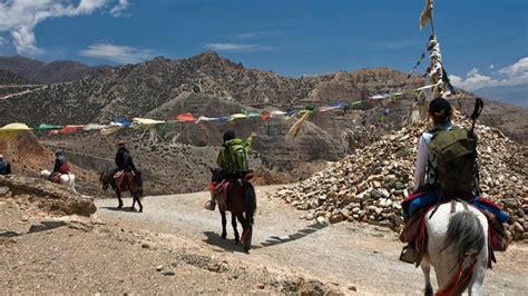 ムスタントレッキング17日間 Himalayan Lion Trek