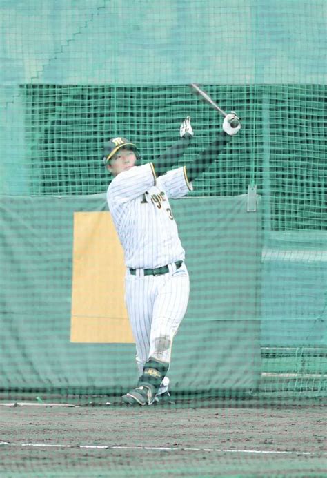 ＜阪神安芸キャンプ＞ランチ特打する大山（撮影・岸 良祐） ― スポニチ Sponichi Annex 野球