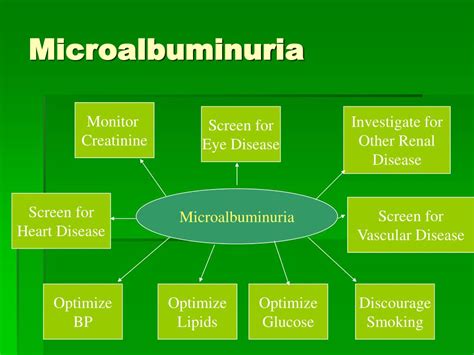 PPT - 糖尿病腎病變 Diabetic Nephropathy PowerPoint Presentation, free ... 