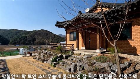 소나무 숲에 둘러싸인 경치 좋고 서울 가까운 강원도 홍천 한옥주택 매매 토지 381평 주택 29평 Youtube