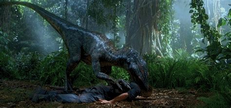 Jurassic Park GIF - Find & Share on GIPHY