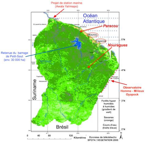 La forêt amazonienne