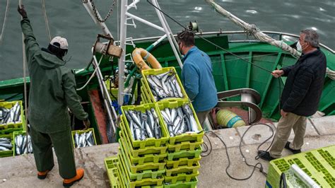 LA MAR COMO LA DESPENSA DEL FUTURO Cofradía Pescadores de Llanes