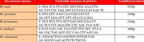 Nucleotide Sequence Of Primers And Size Of Amplified Products