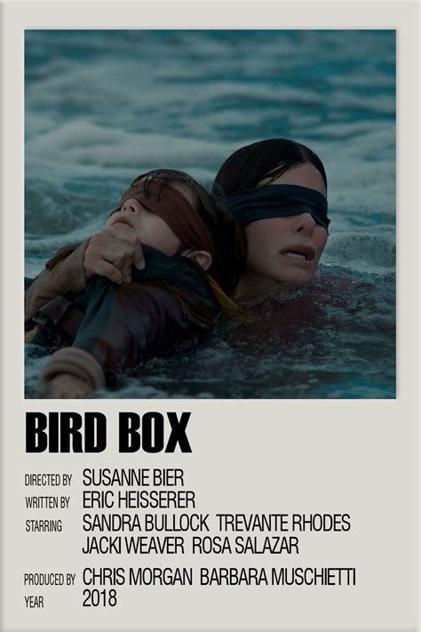 Bird Box Poster – Lakaran