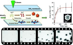 Shape Controlled Synthesis And In Situ Characterisation Of Anisotropic