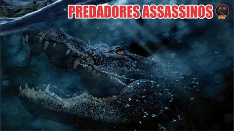 OS JACARES GIGANTES DE PREDADORES ASSASSINOS 2019 YouTube