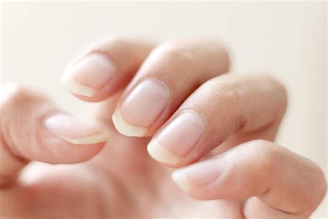 The Science Of Nails How They Grow And What Makes Them Grow Faster Scratch