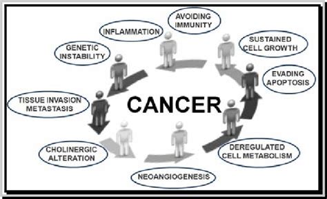 Hallmarks Of Cancer This Illustration Shows Different Hallmark