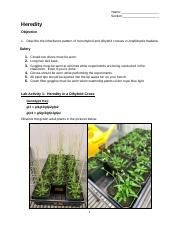 Heredity F Noplants Docx Name Section Heredity Objective