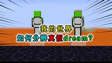 我的世界：世界上出现了两个dream？假的dream落地水都不利索 Youtube