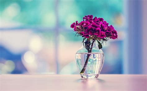 HD wallpaper: purple petaled flowers and clear glass vase, surface ...