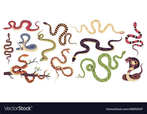 Cartoon Snakes Different Types Reptiles Venomous Vector Image