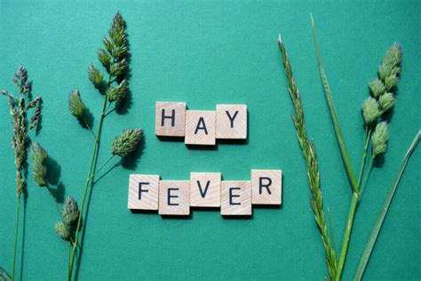 Allergic Rhinitis What Is Hay Fever Allergy And Immunology Center