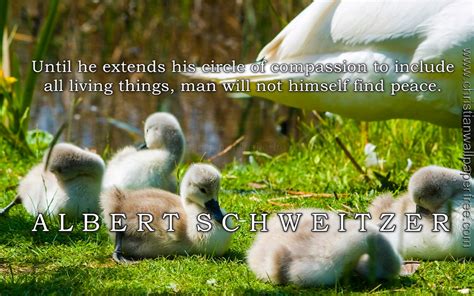 Circle of Compassion Quote Albert Schweitzer - Christian Wallpaper Free