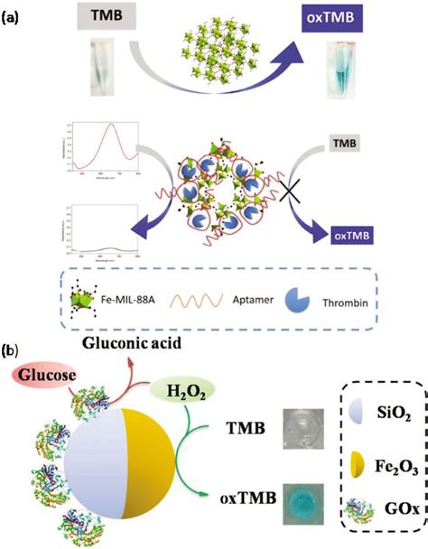 Metal Nanoparticles Based Nanoplatforms For Colorimetric Sensing A Review