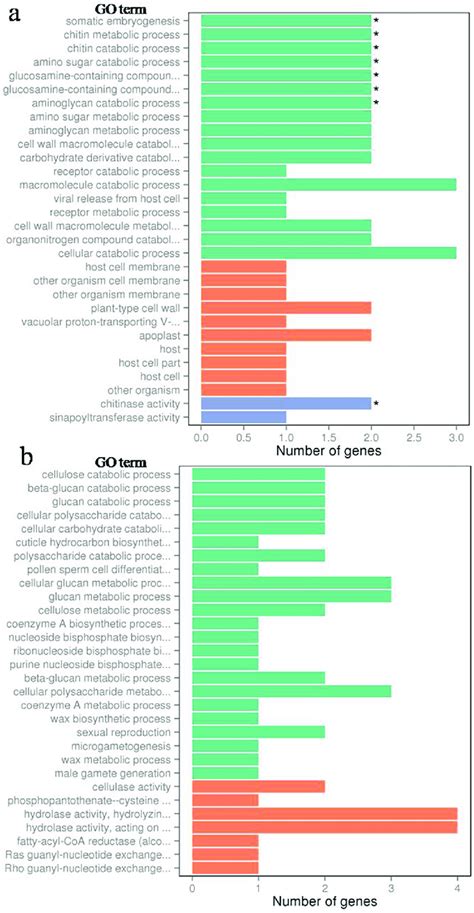 Gene Ontology Classifications Of Degs A B The Most Enriched Go