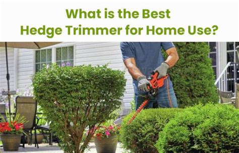 What Is The Best Hedge Trimmer For Home Use Redway Power