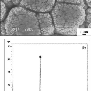 A Surface Morphology And B Energy Dispersive X Ray Pattern Of El