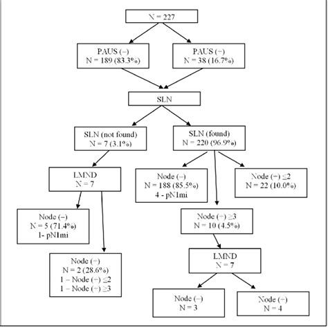 Flowchart Of Involvement Of Axillary Lymph Nodes In Patients Paus