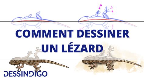 Comment Réaliser Un Dessin De Lézard Blog Dessindigo