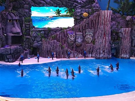 Chimelong Ocean Kingdom 2019 Zhuhai Everything You Need To Know