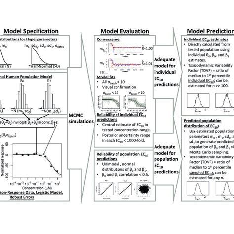 Bayesian modeling, evaluation, and prediction workflow | Download ...