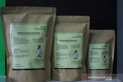 UMM Kembangkan Jamu Herbal Pengganti AGP Untuk Ternak ANTARA News