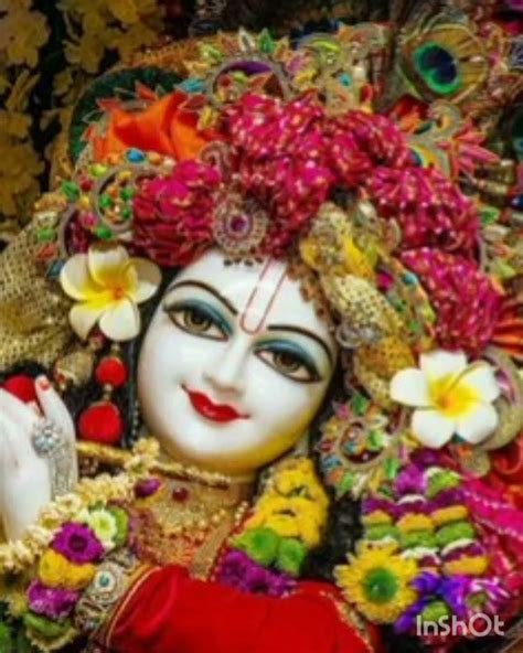 🙏 राधा रानी हमे भी बता दे जरा💞💞🕉️ जय श्री राधा कृष्ण 🙏🙏🙏🙏🌺🌺🌺💞💞💞💞💞💞 Youtube