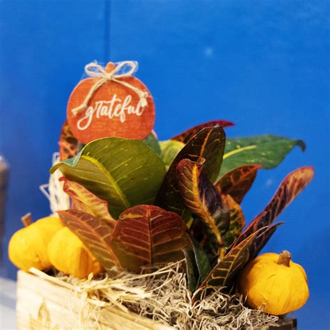 Stacey's funeral home Gander services are helping local families heal 1