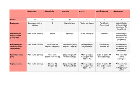 Revision bv tableau de révision Sporophyte Sporophylle sporange