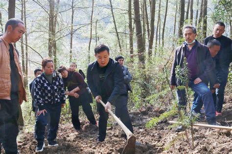 开阳县高寨乡：专家上门传“经”送“宝”大冲村种植发展