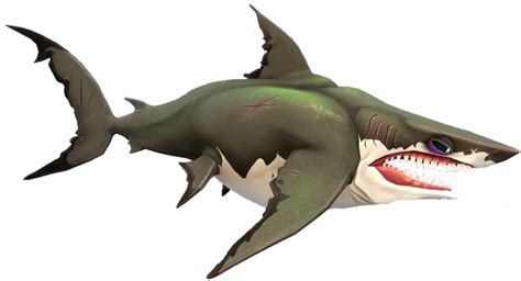 Megalodon HSW Memes Imgflip