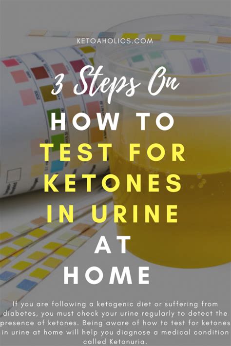 How To Test For Ketones In Urine At Home In 3 Simple Steps Ketoaholics