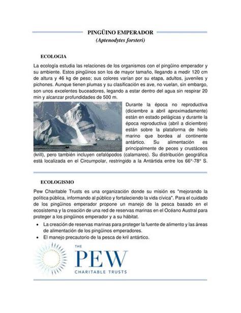 Diferencia De Ecolog A Ecologismo Educaci N Ambiental Y Desarrollo