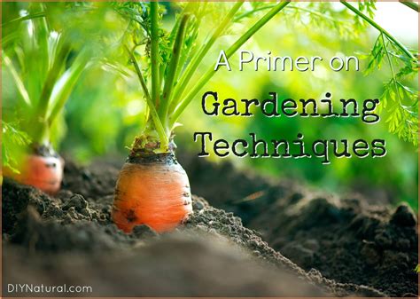 Gardening Techniques: A List of the Different Approaches to Gardening