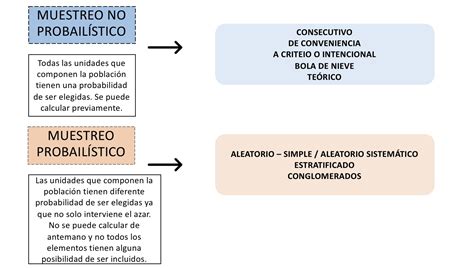 Tema 8 TeorÍa De Las Muestras