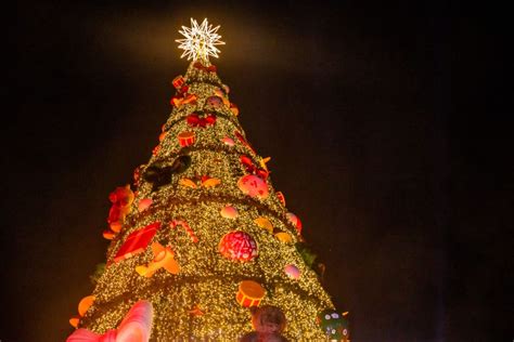 Árvore de Natal de São Paulo está acesa no Parque Villa Lobos