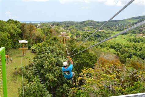 Rainforest Zipline Plus El Yunque National Rainforest Tour