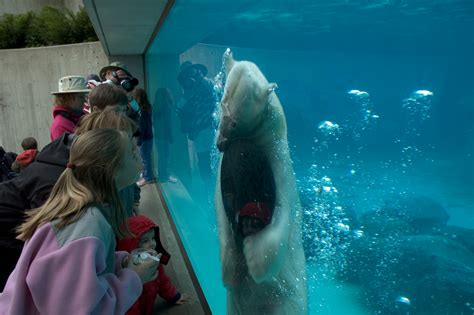 Go Wild This June: National Zoo and Aquarium Month | LongIsland.com