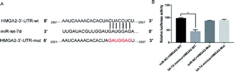 Mir Let D Attenuates Emt By Targeting Hmga In Silica Induced