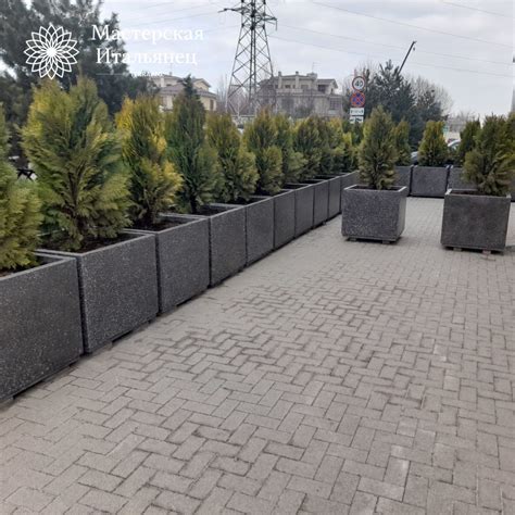 Купить вазоны бетонные для цветов уличные в Краснодаре