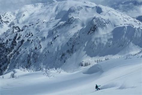 Helicopter Skiing The Ultimate Alpine Experience Pure Powder