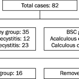 Clinical Outcomes Of Patients That Underwent Percutaneous