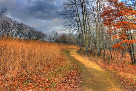 Hiking Trail at Wildcat Mountain State Park, Wisconsin image - Free stock photo - Public Domain ...