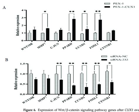 Expression Of Wntβ Catenin Signaling Pathway Genes After Cux1 Download Scientific Diagram