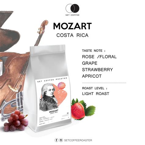 COSTA RICA Mozart Canet Musician Series Shopee Thailand