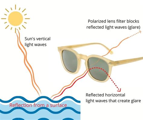 Polarised Vs Non Polarised Sunglasses