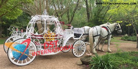 Luxury Cinderella Horse Carriage - DST International